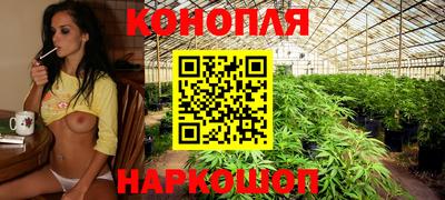 индика Комсомольск-на-Амуре