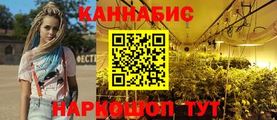 индика Комсомольск-на-Амуре