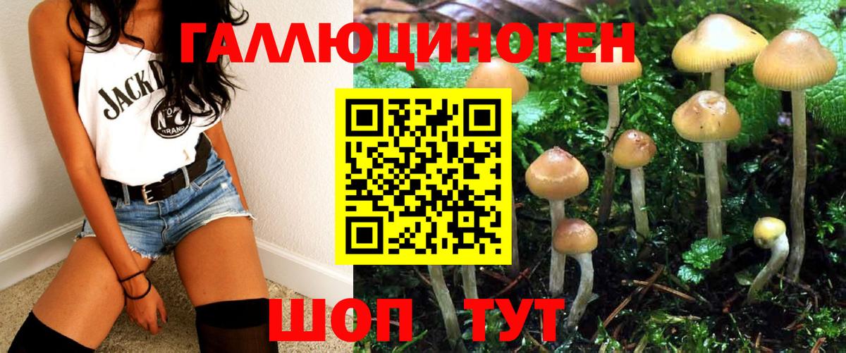 Галлюциногенные грибы Psilocybine cubensis Новоуральск